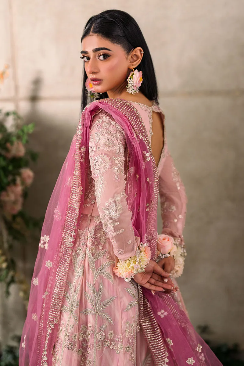 Mushq Mastani Evening Luxury Wedding Formals – Maisha