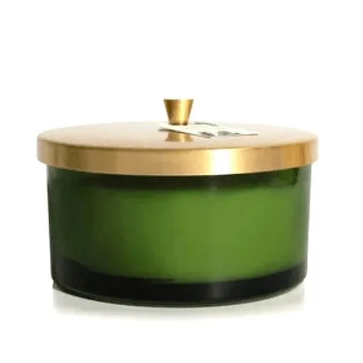Thymes Frasier Fir Four Wick Green Candle